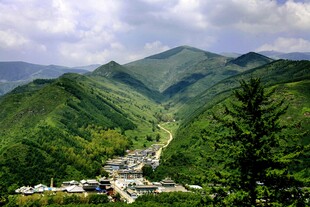 山间村落绿意盎然的美景