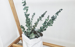 白色花盆中的绿色仿真植物