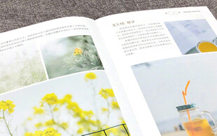 花卉摄影画册内页