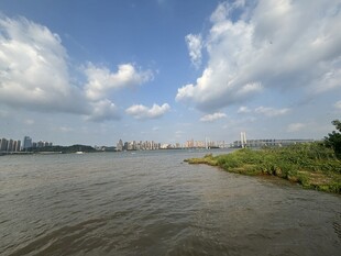 河畔城市风光