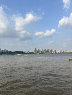 江边城市风光