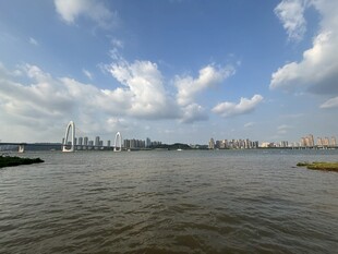 江边城市风光