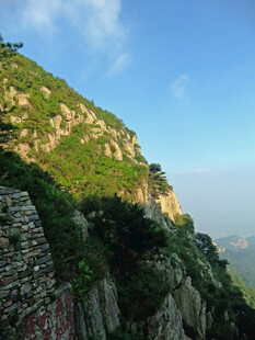 峻峭山峰绿意盎然