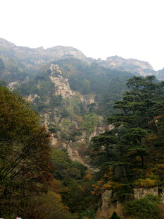 泰山主峰