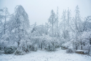 冬季的庐山雪景