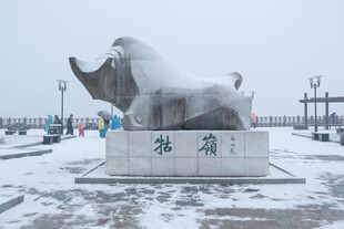 庐山牯岭镇冬天雪景