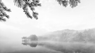 庐山雾中湖畔风景