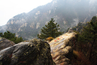 庐山山间石径