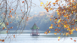 九江庐山芦林湖秋景 