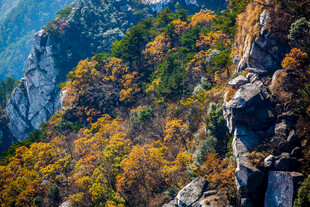 秋日峻岭间斑斓山林景观
