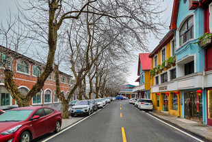 江西庐山牯岭镇街景