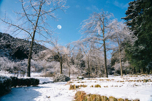 庐山雪景