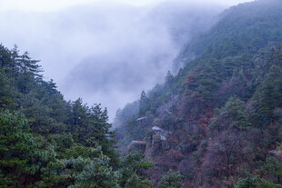 云雾中的庐山
