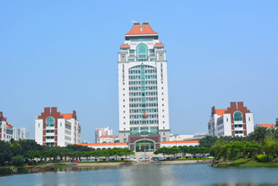 厦门地标建筑风光