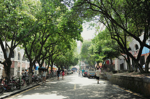 厦门大学林荫街道
