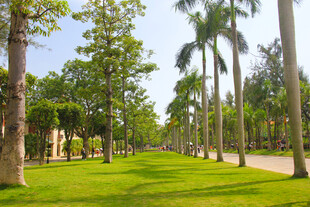 厦门大学旅游