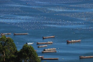 厦门海边渔船
