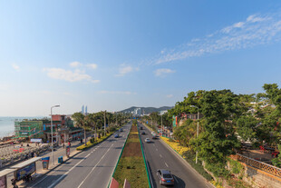 厦门道路旁的绿树与蓝天