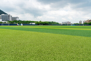 厦门集美大学绿茵草地