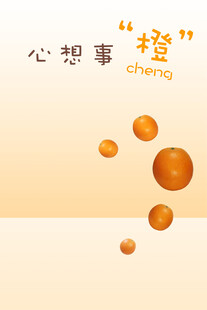 百天照