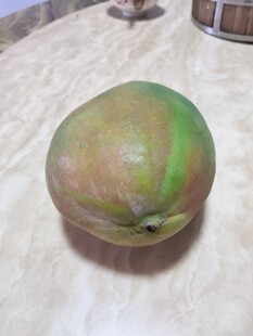 凯特芒