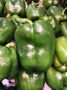 菜椒