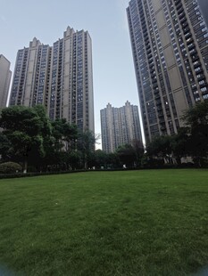 城市绿地旁的高楼景观