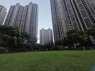 城市草坪与林立高楼