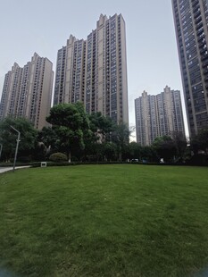 城市绿地旁的高楼景观