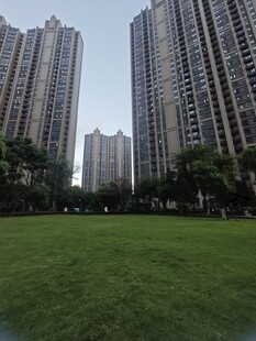 城市草坪旁的高楼景观