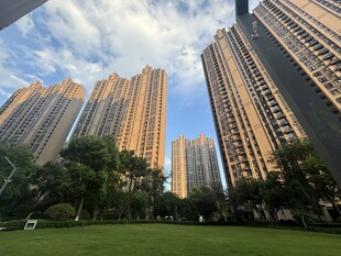 城市高楼与绿地景观
