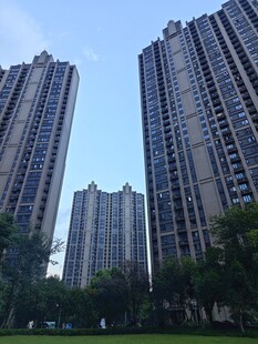 高层住宅楼与周边绿植景观