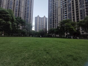 城市中开阔的绿地景观