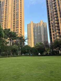 城市草坪旁的高楼景观