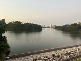 宁静河畔风光