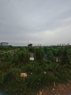 田野中的绿植与围栏景观