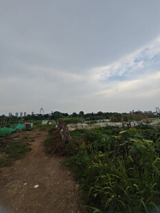 田园风光中的乡间小径