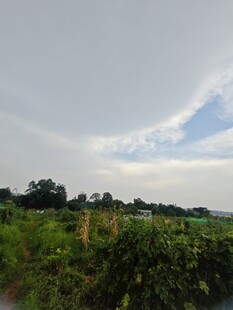 田野风光