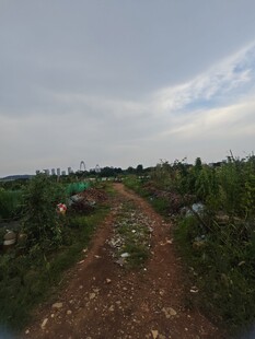 乡间土