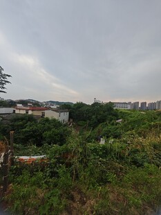 乡村田野景象