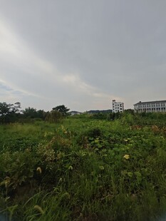 田野风光