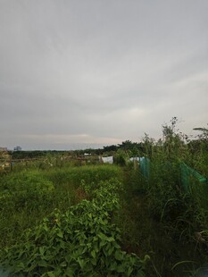 阴天田野景象