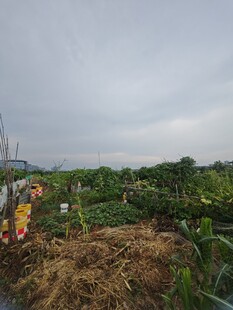 田园劳作场景