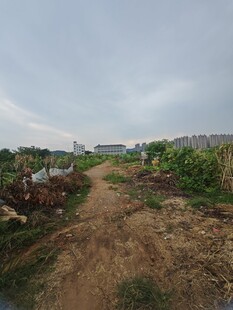 乡间土路