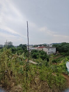 乡村田园景致