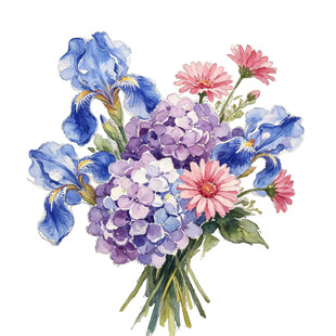 水彩花卉紫蓝色花束绣球花波斯菊