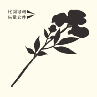 花枝剪影