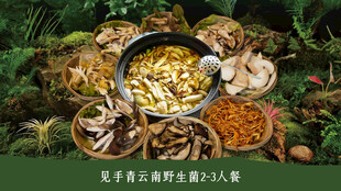 云南野山菌火锅套餐图