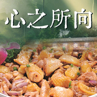农家乐菜品入口图