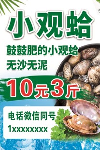小观蛤促销